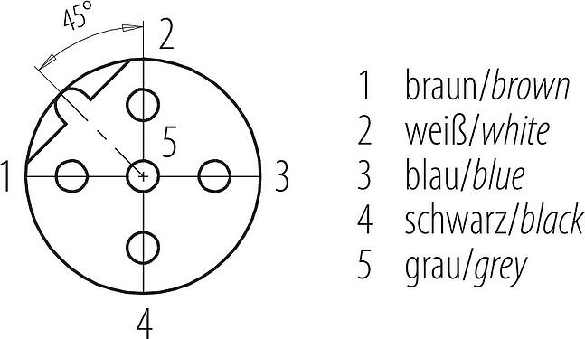Contactconfiguratie (Insteekbereik) M12 Female panel mount connector, aantal polen: 5, onafgeschermd, draden, IP68, UL 2238, PG 9, Achterwandmontage
