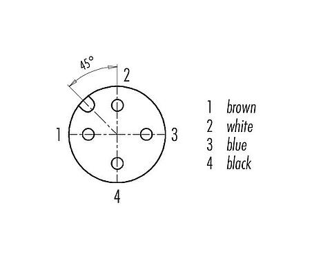 Contact arrangement (Plug-in side) 77 3634 0000 50004-0500 - M12 Female angled connector, Contacts: 4, unshielded, moulded on the cable, IP69K, UL, PUR, black, 4 x 0.34 mm², with LED PNP, 5 m