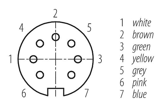 Contactconfiguratie (Insteekbereik) M16 Kabeldoos, aantal polen: 7 (07-b), onafgeschermd, aan de kabel aangegoten, IP67, PUR, zwart, 7 x 0,25 mm², 2 m