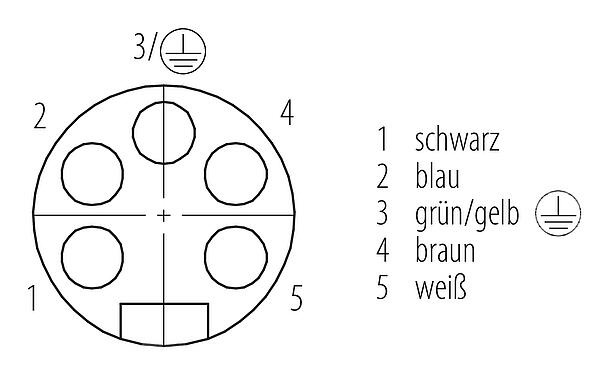 Polbild (Steckseite) 7/8" Flanschdose, Polzahl: 4+PE, ungeschirmt, Litzen, IP68, UL 2238, VDE, PG 11, Frontmontage, vergossen