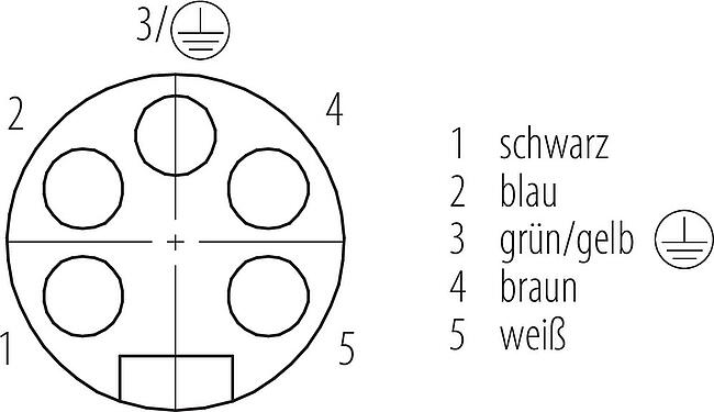 Polbild (Steckseite) 7/8" Kabeldose, Polzahl: 5, ungeschirmt, am Kabel angespritzt, IP68, UL 2238, PUR, schwarz, 5 x 1,50 mm², 5 m