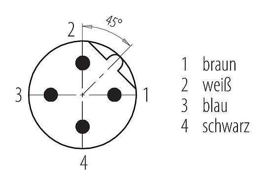 Polbild (Steckseite) M12 Kabelstecker, Polzahl: 4, ungeschirmt, am Kabel angespritzt, IP68/IP69K, UL 2238, PVC, grau, 4 x 0,34 mm², 2 m