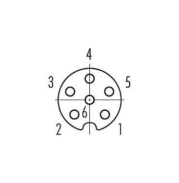 Contact arrangement (Plug-in side) M8 Female panel mount connector, Contacts: 6, shieldable, THT, IP67, UL 2238, M10x0.75, Rear mounting, potted
