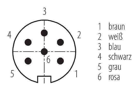 Polbild (Steckseite) M16 Kabelstecker, Polzahl: 6, ungeschirmt, am Kabel angespritzt, IP67, PUR, schwarz, 6 x 0,25 mm², 5 m