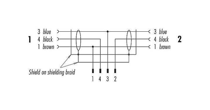Stiftkonfigurationsritningar 77 9855 3530 50703-0200 - M12/M12,M12 Kabelsplitter plugg - 2 kabeluttag, antal poler: 4/3, skärmad, fastgjuten på kabeln, IP68, PUR, svart, 3 x 0,34 mm², 2 m