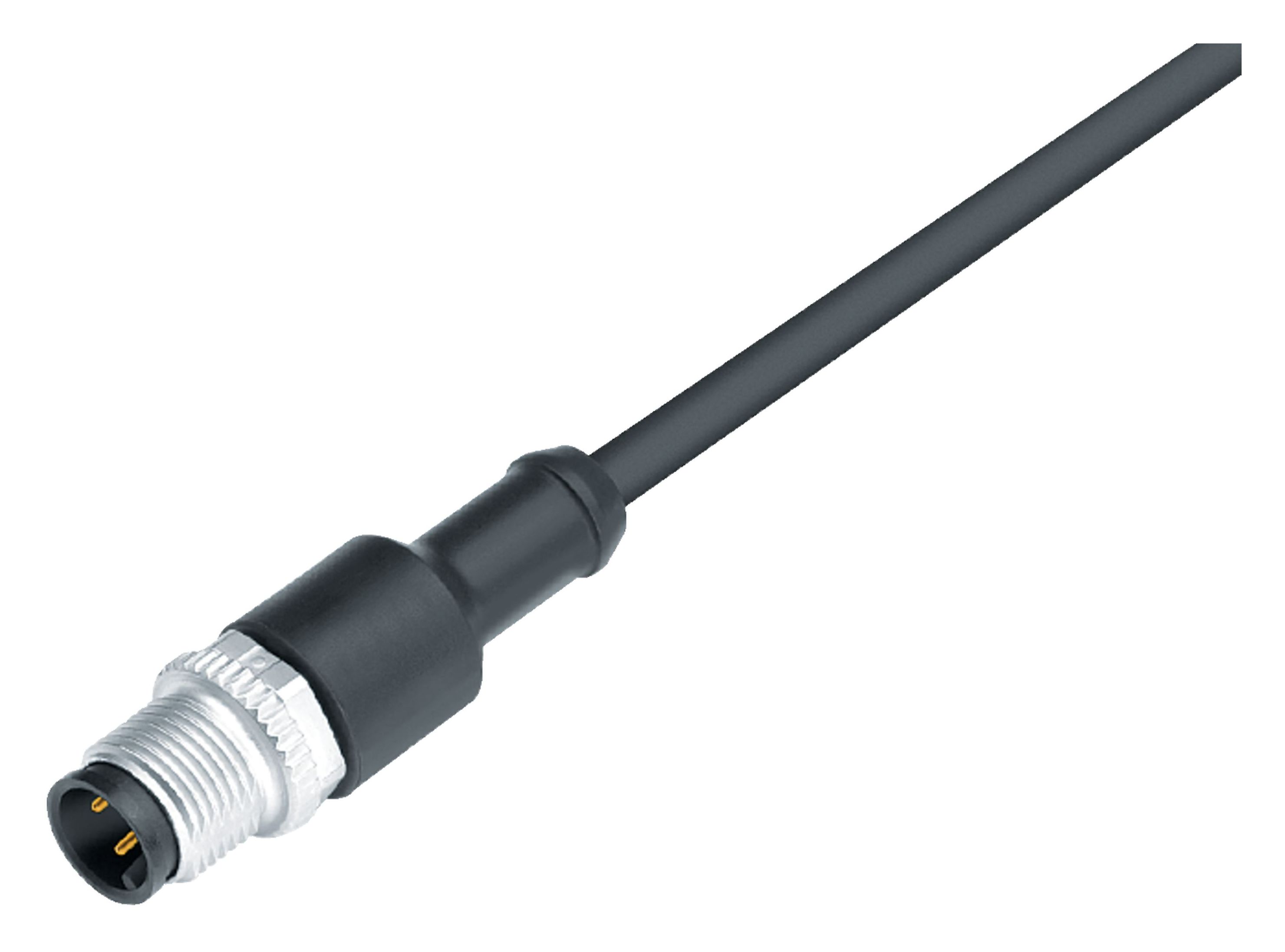 77 3429 0000 50712-0200 | binder M12 Kabelstecker, Polzahl: 12 